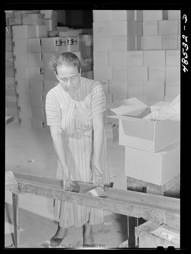 Arecibo, Puerto Rico (vicinity). In a little cannery