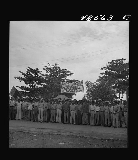 Yabucoa, Puerto Rico. Strikers on the picket line at a sugar mill