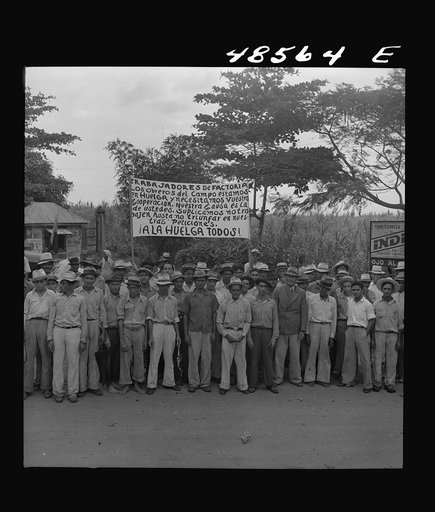 Untitled photo, possibly related to: Yabucoa, Puerto Rico. Strikers on the picket line at a sugar mill