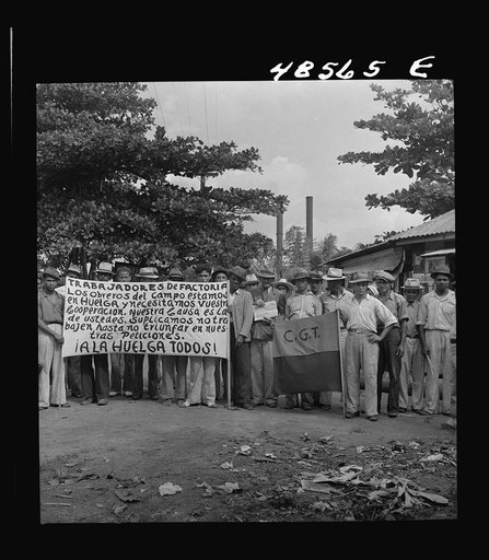 Yabucoa, Puerto Rico. Strikers on the picket line at a sugar mill