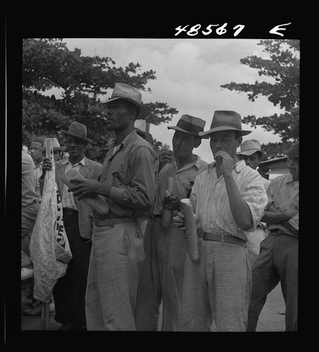 Untitled photo, possibly related to: Yabucoa, Puerto Rico. Strikers on the picket line at a sugar mill