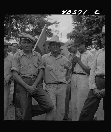 Yabucoa, Puerto Rico (vicinity). Strikers on the picket line at a sugar mill