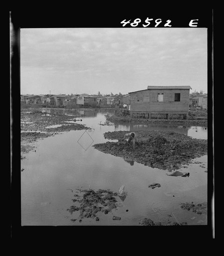 Untitled photo, possibly related to: San Juan, Puerto Rico. El Fangitto, the slum area