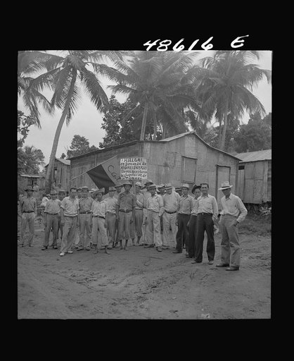 Yabucoa, Puerto Rico. Strikers picketing a sugar plantation