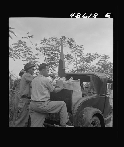 Untitled photo, possibly related to: Yabucoa, Puerto Rico. Car bringing lunch to pickets against the management of a sugar plantation