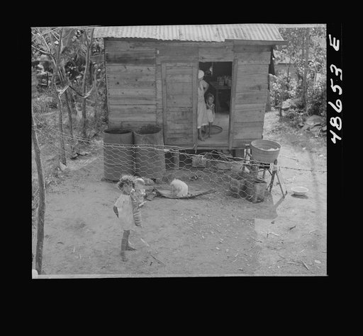 Bayamon, Puerto Rico. Children in a backyard