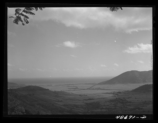 Untitled photo, possibly related to: Yabucoa Valley, Puerto Rico. This sugar cane land is owned by the sugar mill in Yabucoa
