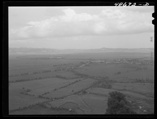 Untitled photo, possibly related to: Yabucoa Valley, Puerto Rico. This sugar cane land is owned by the sugar mill in Yabucoa