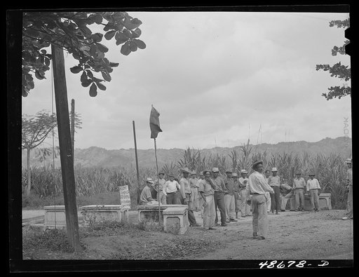 Yabucoa, Puerto Rico. Sugar strikers picketing a sugar plantation