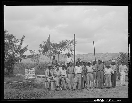Yabucoa, Puerto Rico. Sugar strikers picketing a sugar plantation