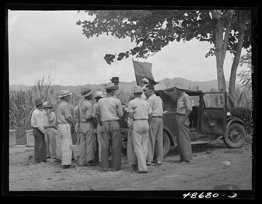 Untitled photo, possibly related to: Yabucoa, Puerto Rico. Sugar strikers picketing a sugar plantation