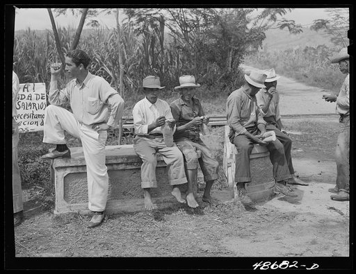 Yabucoa, Puerto Rico. Sugar strikers picketing a sugar plantation
