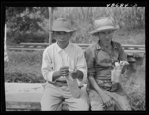 Untitled photo, possibly related to: Yabucoa, Puerto Rico (vicinity). Pickets on strike against management of a sugar plantation eating a half-loaf of bread and some butter for lunch