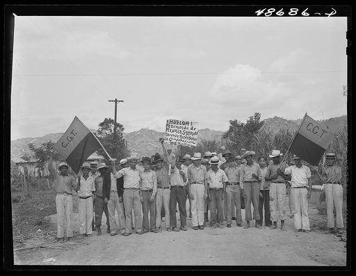 Yabucoa, Puerto Rico. Sugar strikers picketing a sugar plantation