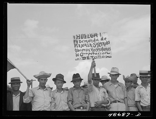 Yabucoa, Puerto Rico. Sugar strikers picketing a sugar plantation