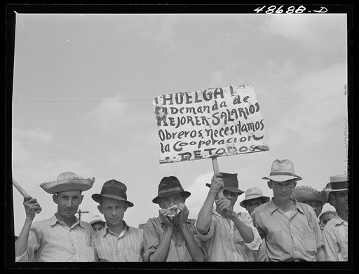 Yabucoa, Puerto Rico. Sugar strikers picketing a sugar plantation