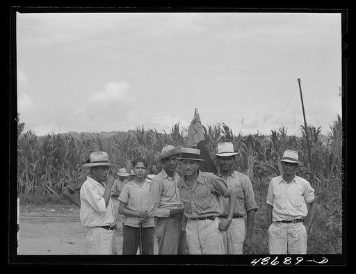 Untitled photo, possibly related to: Yabucoa, Puerto Rico. Sugar strikers picketing a sugar plantation