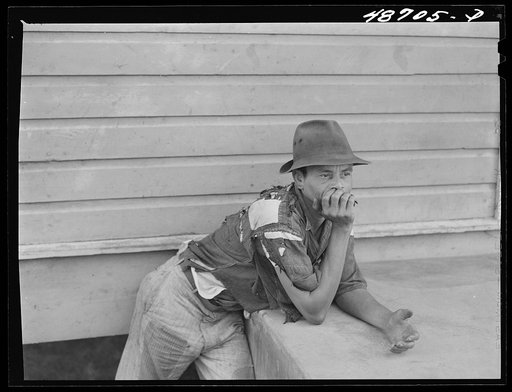 Yabucoa, Puerto Rico (vicinity). Farm laborer