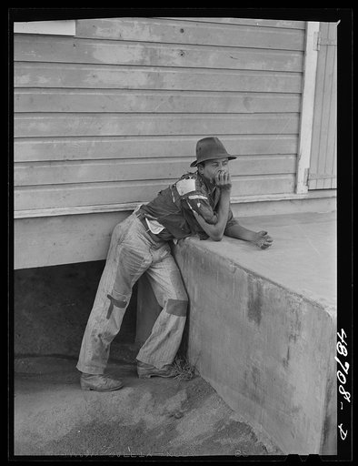 Yabucoa, Puerto Rico (vicinity). Farm laborer