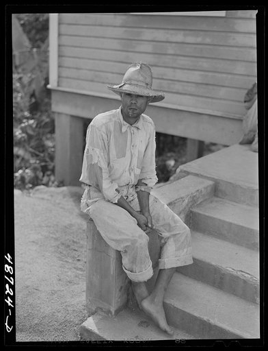 Untitled photo, possibly related to: Yabucoa, Puerto Rico (vicinity). Farm laborer