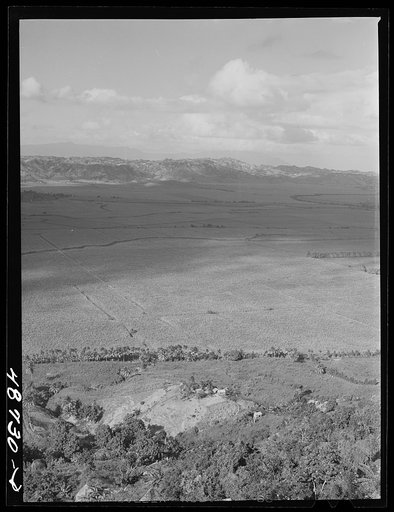 Yabucoa Valley, Puerto Rico