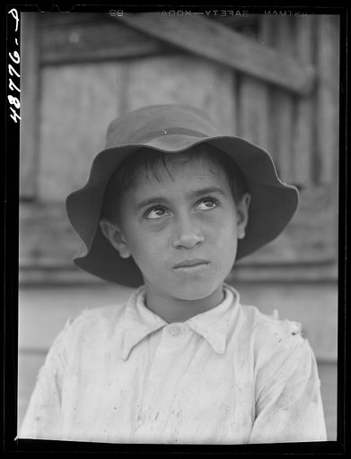 Untitled photo, possibly related to: Caguas, Puerto Rico (vicinity). Son of a farmer