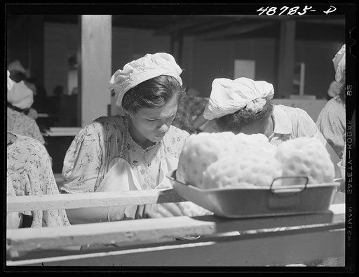 Bayamon, Puerto Rico (vicinity). A pineapple canning factory