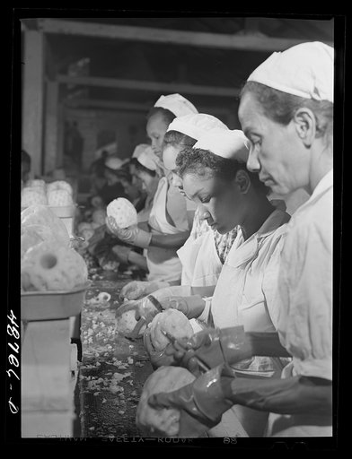 Untitled photo, possibly related to: Bayamon, Puerto Rico (vicinity). A pineapple canning factory