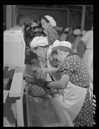 Bayamon, Puerto Rico (vicinity). A pineapple canning factory