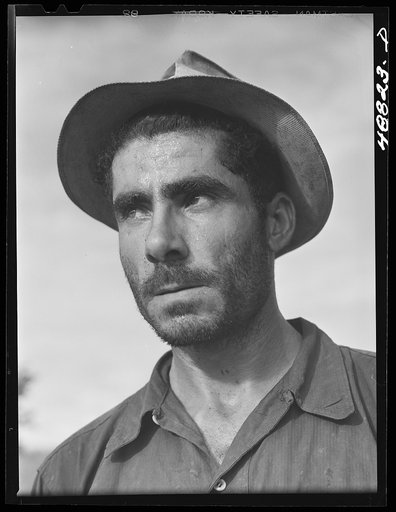 Untitled photo, possibly related to: Caguas, Puerto Rico (vicinity). Farm laborer who also does odd carpentry jobs for people in his neighborhood