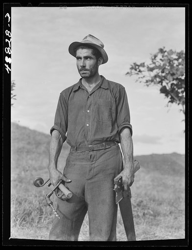 Caguas, Puerto Rico (vicinity). Farm laborer who also does odd carpentry jobs for people in his neighborhood