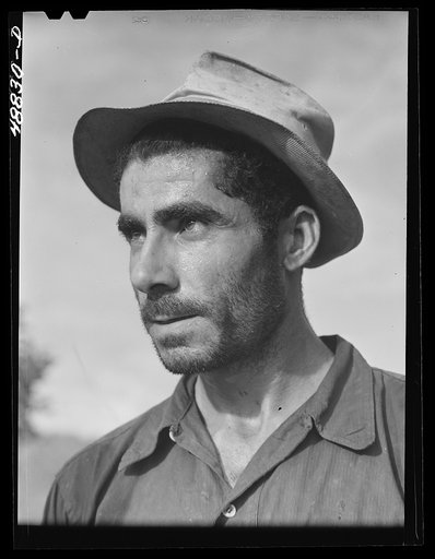 Caguas, Puerto Rico (vicinity). Farm laborer who also does odd carpentry jobs for people in his neighborhood