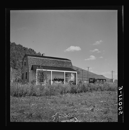 Good soil makes good gardens in Tygart Valley Homesteads, West Virginia