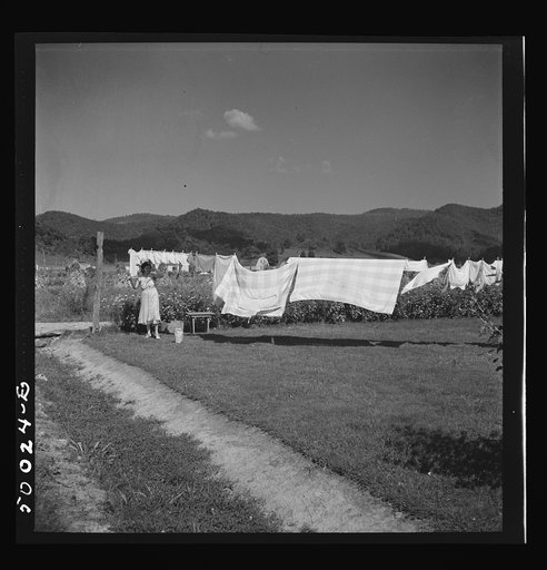 The wash line. Tygart Valley, West Virginia