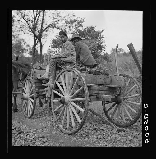 Untitled photo, possibly related to: Hauling coal up the hill, picked up near mines, to his home. Chaplin, West Virginia