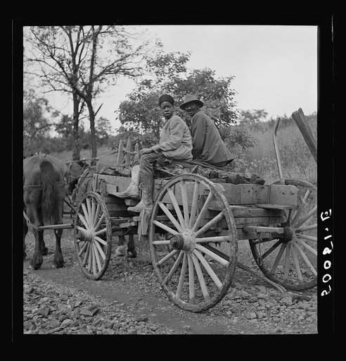 Hauling coal up the hill, picked up near mines, to his home. Chaplin, West Virginia