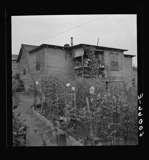 Rear of coal miner's home (Hungarians usually have nice gardens and canned goods). Chaplin, West Virginia