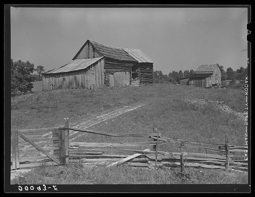 Farmyard and barns on highway between Elkins and Morgantown, West Virginia