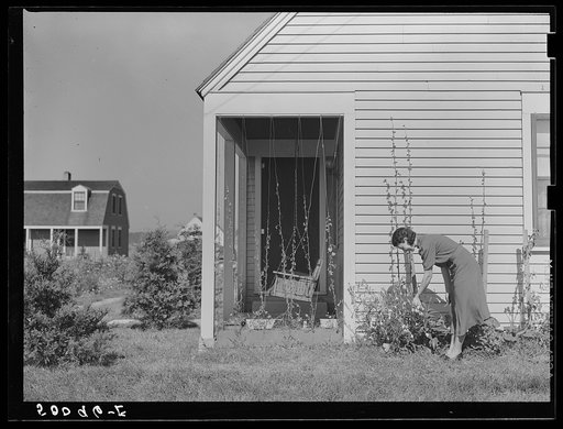 Homesteader picking flowers. Tygart Valley, West Virginia