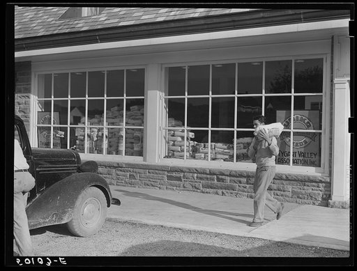 Roofing materials and flour in window of community store. Tygart Valley project, West Virginia