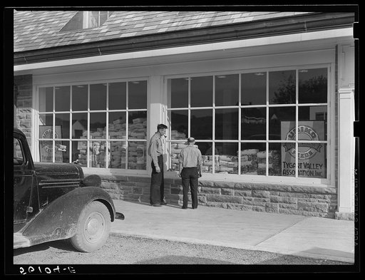 Untitled photo, possibly related to: Roofing materials and flour in window of community store. Tygart Valley project, West Virginia