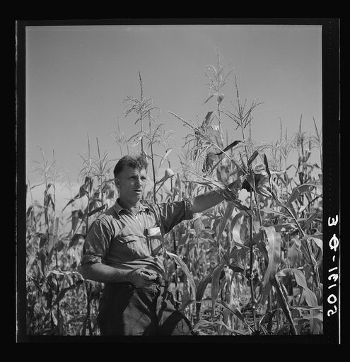 Coal miner, now unemployed, town philosopher, experiments with garden. Jere, West Virginia. Says, "Jes so long as I sees things movin' and betterin' I don't care how much benefits I get from it." See 50057-E, 30219-M3