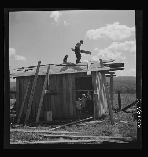 Armesteader and his family building a new shed for their calf. Tygart Valley, West Virginia