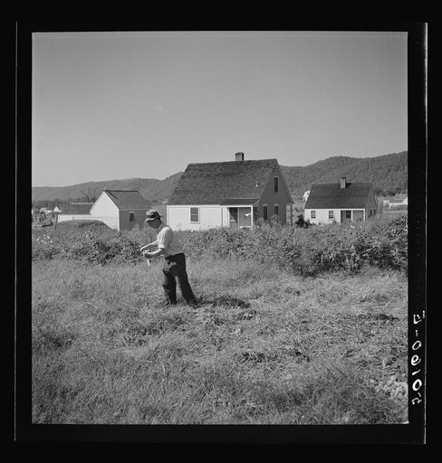 Untitled photo, possibly related to: Schoolteacher taking care of his front yard on Saturday. Tygart Valley homesteads, West Virginia