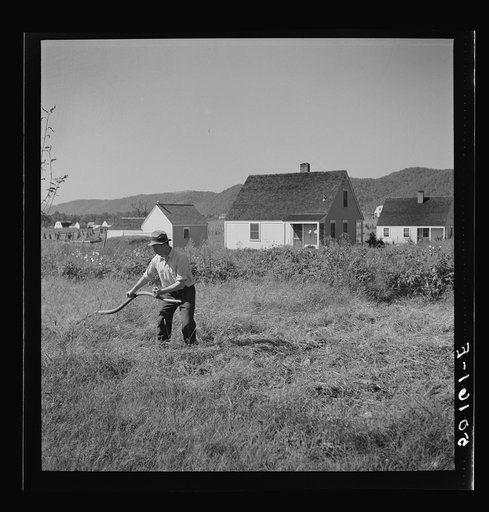 Schoolteacher taking care of his front yard on Saturday. Tygart Valley homesteads, West Virginia