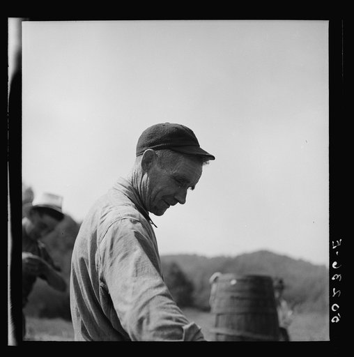 Farmer who makes molasses to sell in Racine, West Virginia