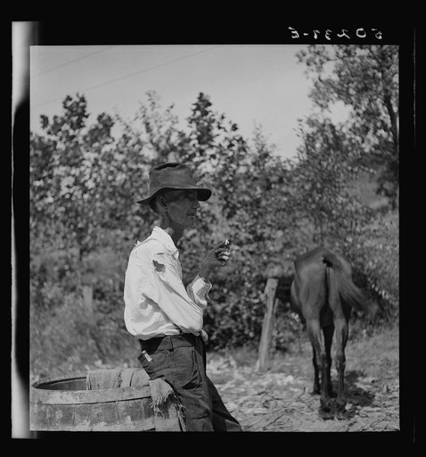 Untitled photo, possibly related to: Neighbor watching the process of making molasses. Racine, West Virginia
