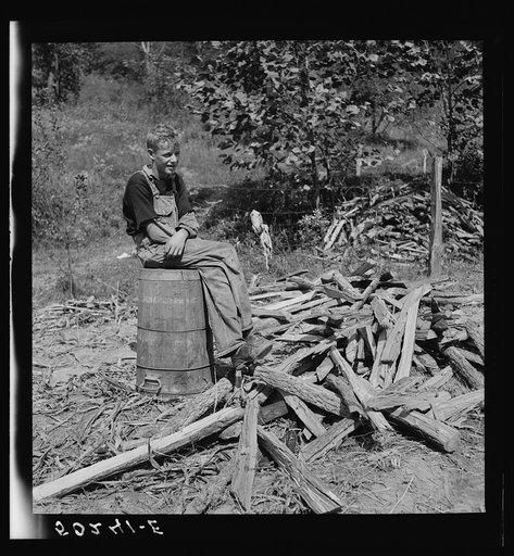 Farmer's son who helps make the molasses from sugarcane. Racine, West Virginia