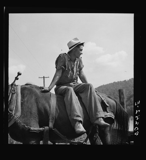 Farmer's son who helps make the molasses from sugarcane. Racine, West Virginia