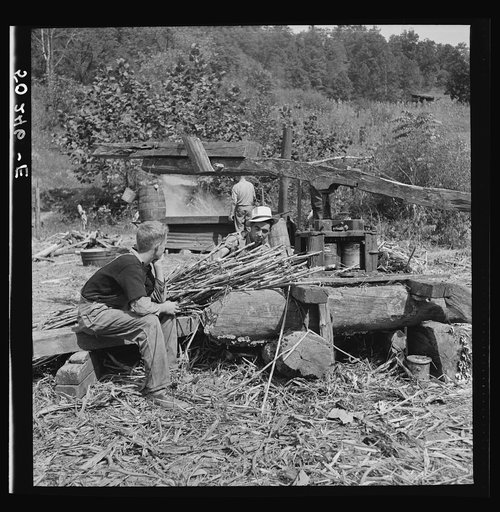 Pressing juice from sugarcane to make molasses. Racine, West Virginia